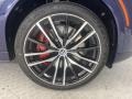 2022 BMW X6 M50i Wheel and Tire Photo