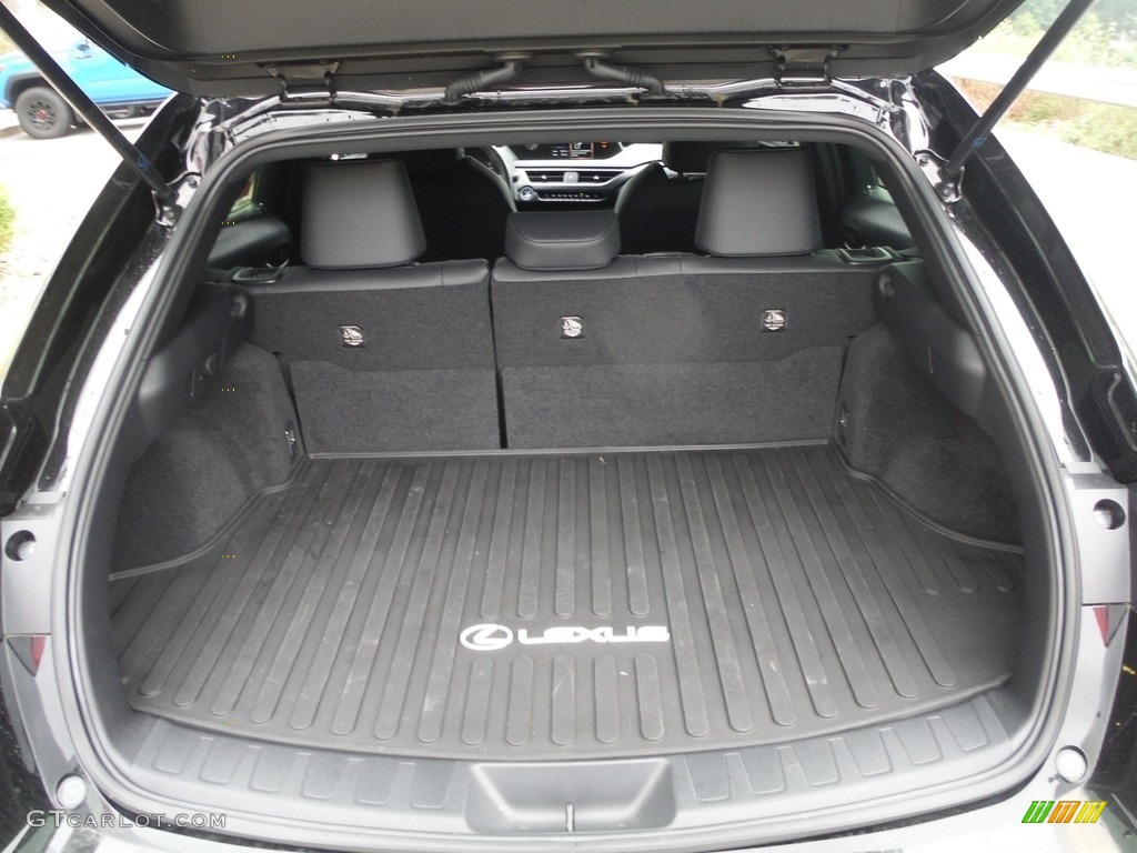 2021 Lexus UX 250h AWD Trunk Photos