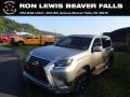 2021 Atomic Silver Lexus GX 460 Premium #144578022