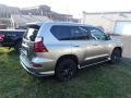 2021 Atomic Silver Lexus GX 460 Premium  photo #4