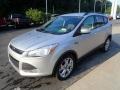 Ingot Silver Metallic - Escape SE 4WD Photo No. 7