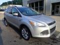 Ingot Silver Metallic - Escape SE 4WD Photo No. 9