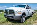 Bright White - Ram 2500 HD ST Regular Cab 4x4 Photo No. 8
