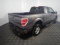 Sterling Gray Metallic - F150 STX SuperCab 4x4 Photo No. 15