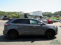 Carbonized Gray Metallic - Edge ST AWD Photo No. 6