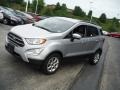 Moondust Silver Metallic - EcoSport SE 4WD Photo No. 6