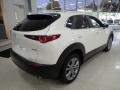 Snowflake White Pearl Mica - CX-30 S Preferred AWD Photo No. 2