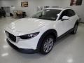 Snowflake White Pearl Mica - CX-30 S Preferred AWD Photo No. 6