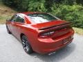 Sinamon Stick - Charger SXT Blacktop Photo No. 8