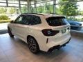 Alpine White - X3 xDrive30i Photo No. 2