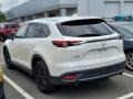 Snowflake White Pearl Mica - CX-9 Touring AWD Photo No. 9