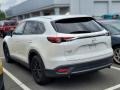 2019 Snowflake White Pearl Mica Mazda CX-9 Touring AWD  photo #9