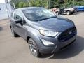 Smoke Metallic - EcoSport S 4WD Photo No. 2
