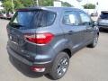 Smoke Metallic - EcoSport S 4WD Photo No. 8
