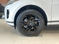 2023 Land Rover Range Rover Evoque S Wheel and Tire Photo