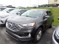 2019 Magnetic Ford Edge SEL AWD #144631762