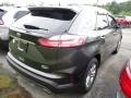 Magnetic - Edge SEL AWD Photo No. 3