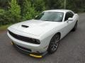 White Knuckle - Challenger R/T Photo No. 2