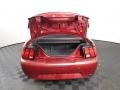 2004 Torch Red Ford Mustang GT Convertible  photo #6