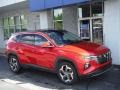 Calypso Red - Tucson Limited AWD Photo No. 1
