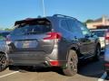 2020 Magnetite Gray Metallic Subaru Forester 2.5i Limited  photo #3