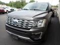 2019 Magnetic Metallic Ford Expedition Limited 4x4  photo #1