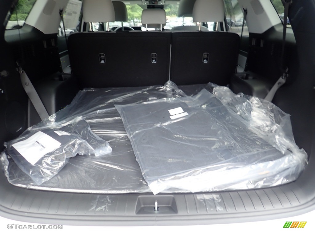 2023 Hyundai Palisade SEL AWD Trunk Photo #144660294
