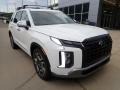 Hyper White - Palisade SEL AWD Photo No. 9