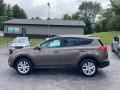 2015 Pyrite Mica Toyota RAV4 Limited AWD  photo #1