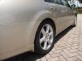 Coral Sand Metallic - Maxima 3.5 SE Photo No. 15