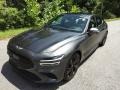 Himalayan Gray - G70 3.3T AWD Photo No. 3