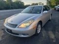 Millennium Silver Metallic - ES 300 Photo No. 3
