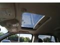 2009 Graystone Metallic Chevrolet TrailBlazer LT 4x4  photo #11