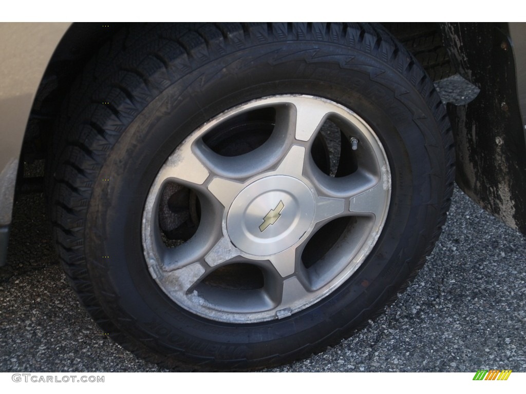 2009 TrailBlazer LT 4x4 - Graystone Metallic / Ebony photo #21