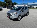 2019 Moondust Silver Metallic Ford EcoSport SE  photo #11