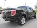 2013 Tuxedo Black Metallic Ford F150 Limited SuperCrew 4x4  photo #10