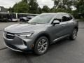 Satin Steel Metallic 2022 Buick Envision Essence Exterior