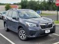 Magnetite Gray Metallic - Forester 2.5i Premium Photo No. 3