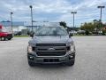 Magnetic - F150 XLT SuperCrew 4x4 Photo No. 2