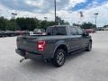 Magnetic - F150 XLT SuperCrew 4x4 Photo No. 4