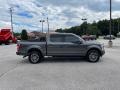 Magnetic - F150 XLT SuperCrew 4x4 Photo No. 5