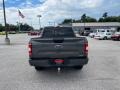 Magnetic - F150 XLT SuperCrew 4x4 Photo No. 6