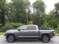 Magnetic Gray Metallic 2019 Toyota Tundra Limited CrewMax 4x4 Exterior