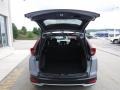 Sonic Gray Pearl - CR-V EX-L AWD Photo No. 29
