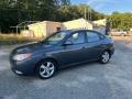 Carbon Gray - Elantra SE Sedan Photo No. 3