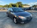 Carbon Gray - Elantra SE Sedan Photo No. 13