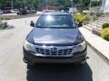 Dark Gray Metallic - Forester 2.5 X Premium Photo No. 10