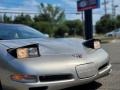 2001 Light Pewter Metallic Chevrolet Corvette Coupe  photo #25