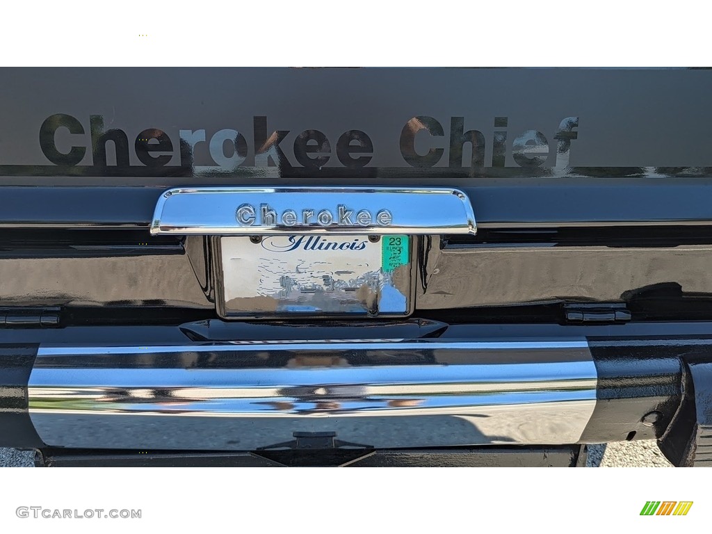 1979 Jeep Cherokee Chief 4x4 Marks and Logos Photo #144738488