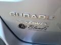 Ice Silver Metallic - Outback Limited XT Photo No. 46